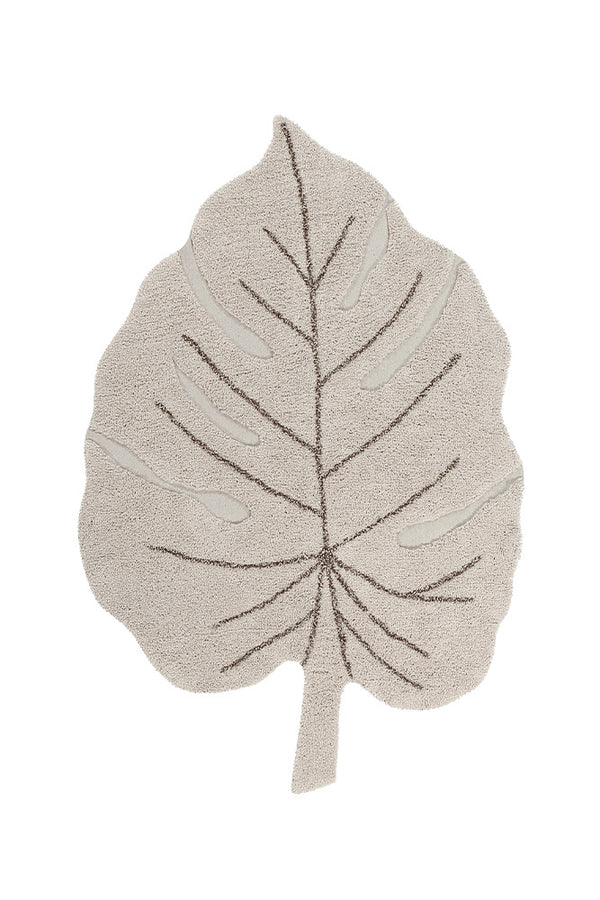 MONSTERA NATURAL