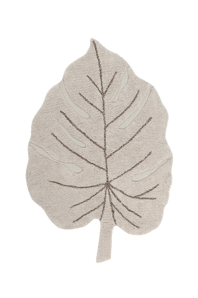 MONSTERA NATURAL