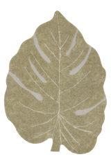 MONSTERA OLIVE